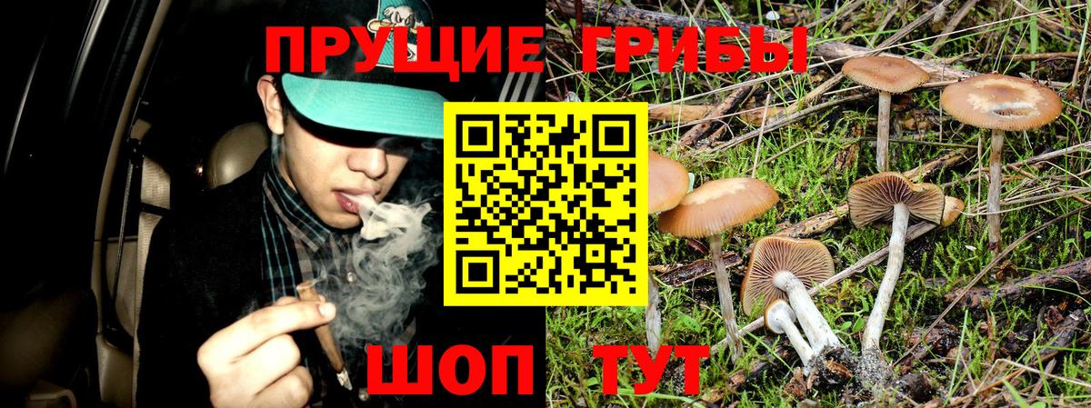Мурманск  Галлюциногенные грибы Magic Shrooms  Вход с VPN 