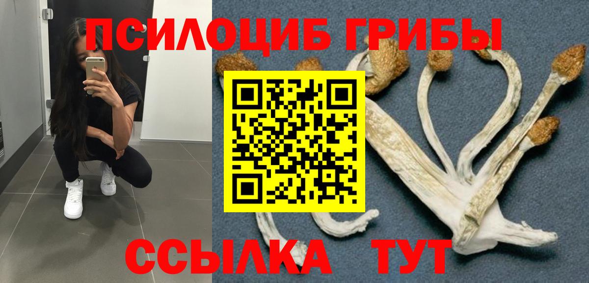 Галлюциногенные грибы GOLDEN TEACHER Мурманск